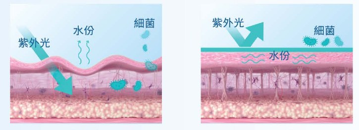 肌膚屏障示意圖：療程前紫外光、細菌及水份流失；療程後屏障鎖緊水份
